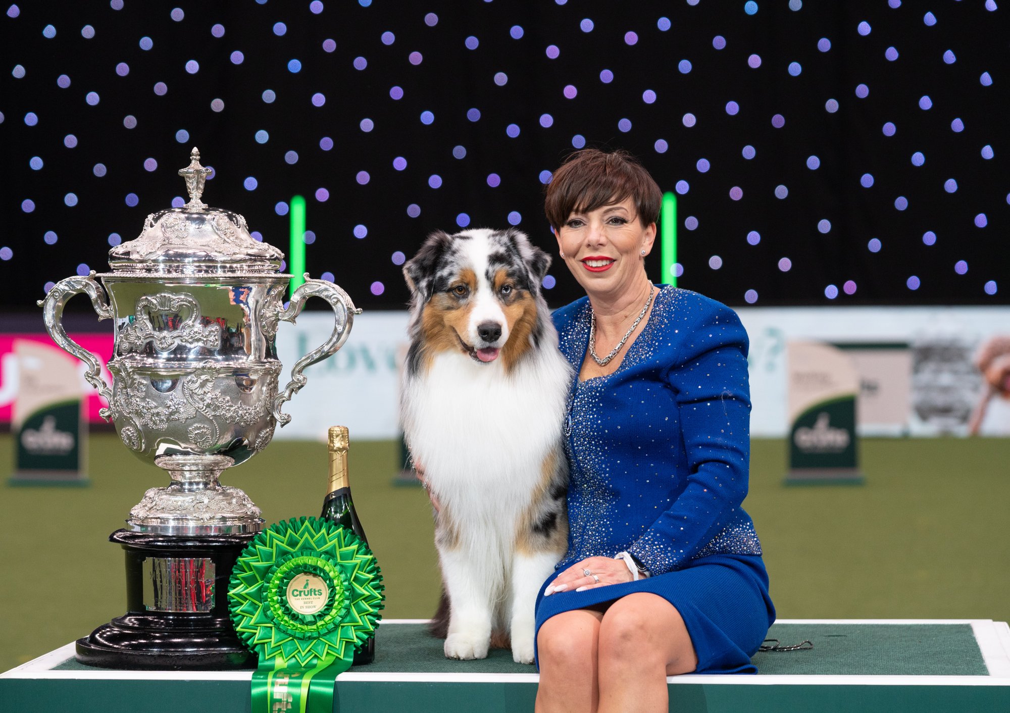 crufts competition picture